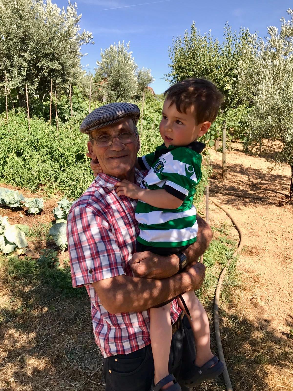 Farm in Portugal